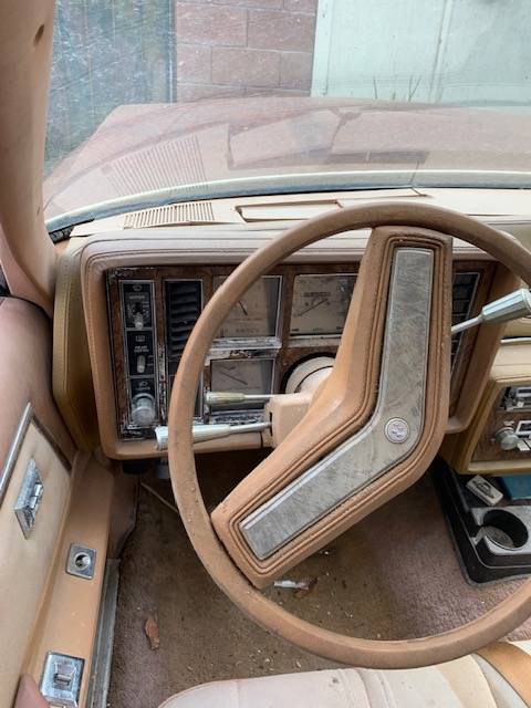 Buick-regal-turbo-sport-coupe-1978-brown-7