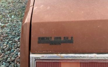 Buick-regal-turbo-sport-coupe-1978-brown-9
