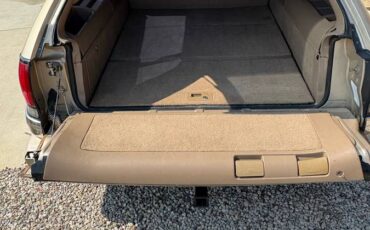 Buick-roadmaster-station-wagon-1995-8