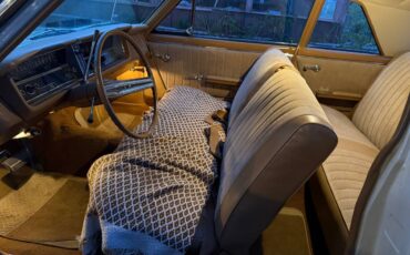 Buick-skylark-1965-1