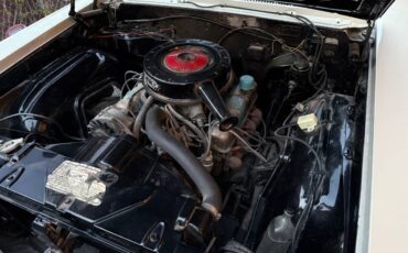 Buick-skylark-1965