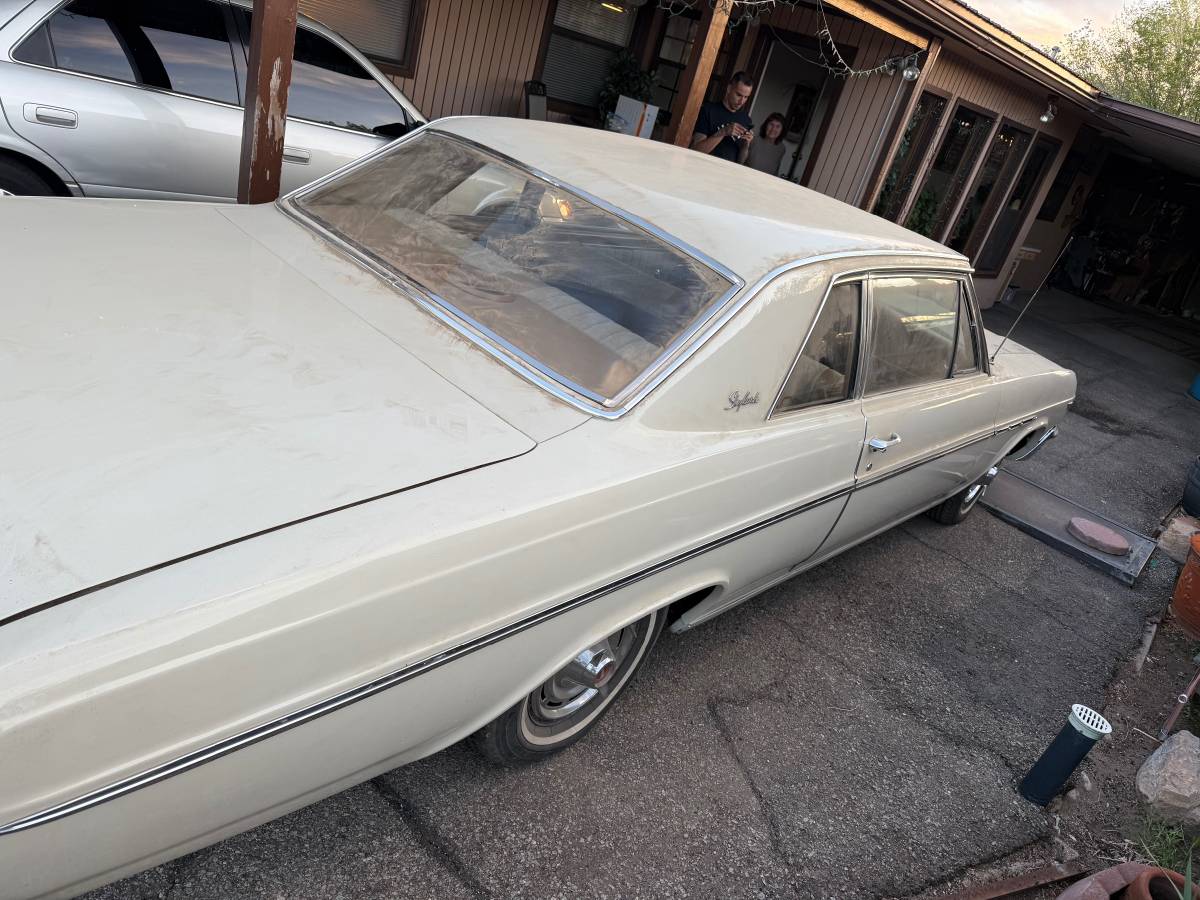 Buick-skylark-1965-3