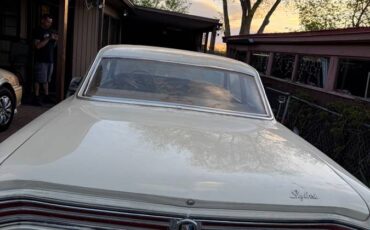 Buick-skylark-1965-4