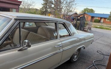 Buick-skylark-1965-5