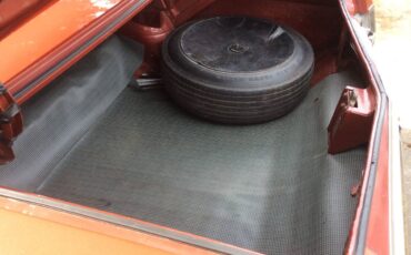 Buick-skylark-1966-orange-3
