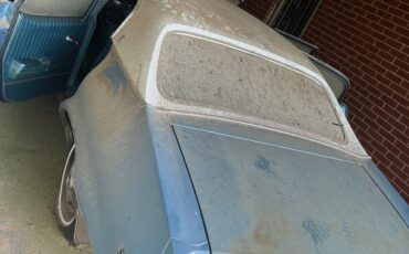 Buick-skylark-1970-blue-14