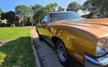 Buick-skylark-1972-10