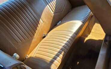 Buick-skylark-1972-17