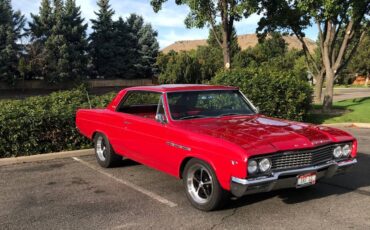 Buick-skylark-gs-1965-6