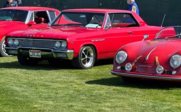 Buick-skylark-gs-1965-7