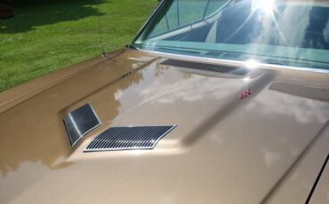 Buick-skylark-gs-1969-brown-1