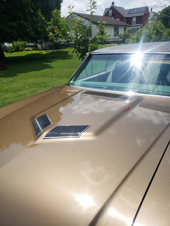 Buick-skylark-gs-1969-brown-1