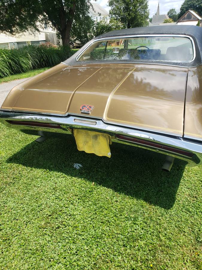 Buick-skylark-gs-1969-brown-10