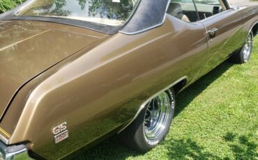 Buick-skylark-gs-1969-brown