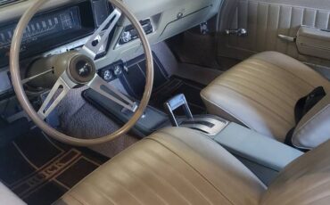 Buick-skylark-gs-1969-brown-7
