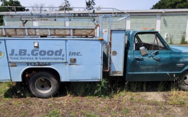 C-30-1969-green-2