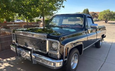 C10-chevy-1979-black-1