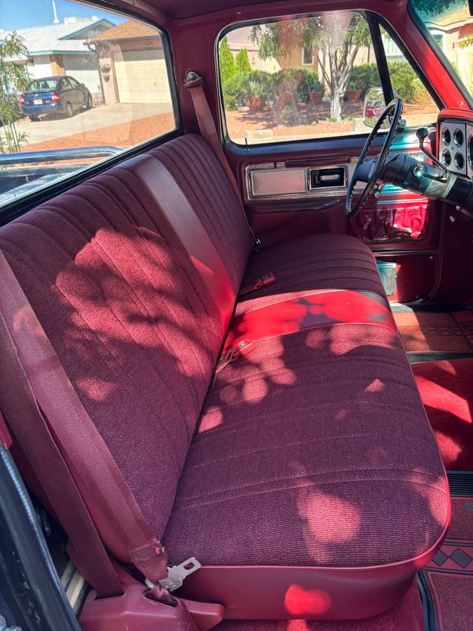 C10-chevy-1979-black-16