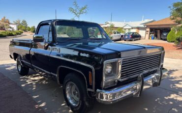 C10-chevy-1979-black-2