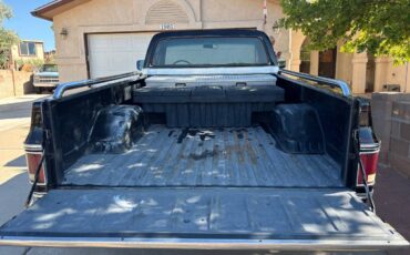 C10-chevy-1979-black-22
