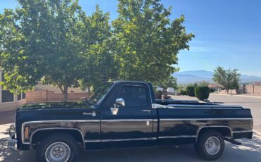 C10-chevy-1979-black