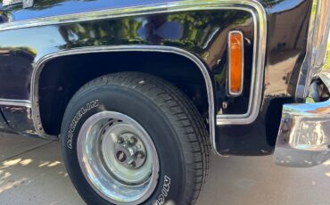 C10-chevy-1979-black-5