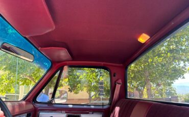 C10-chevy-1979-black-8