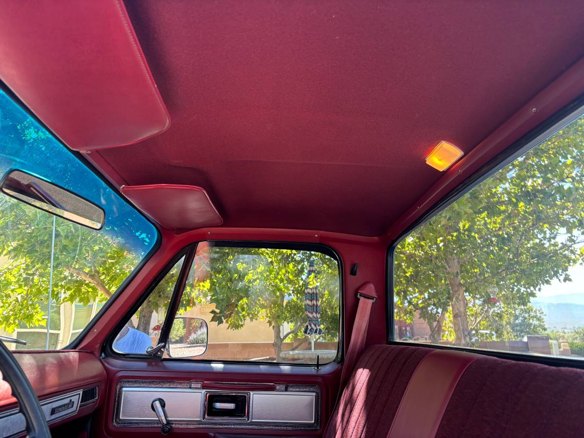 C10-chevy-1979-black-8