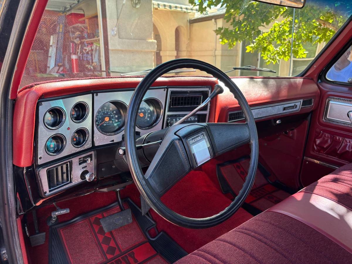 C10-chevy-1979-black-9
