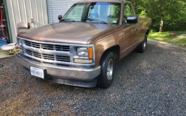C1500-1994-brown-4