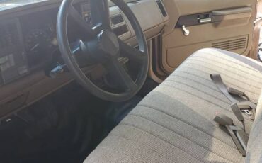 C1500-1994-brown-6