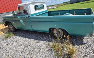 C20-1964