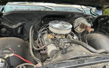 C20-1975-2