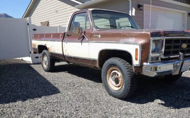 C20-1979-brown-1