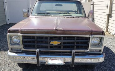C20-1979-brown-2