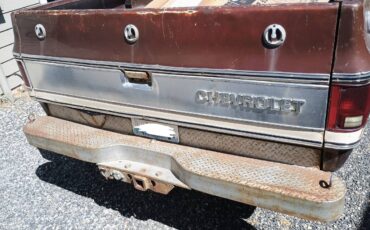 C20-1979-brown-3