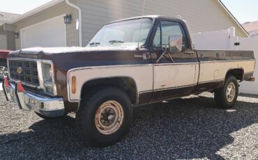 C20-1979-brown