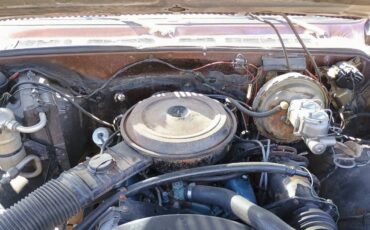 C20-1979-brown-5