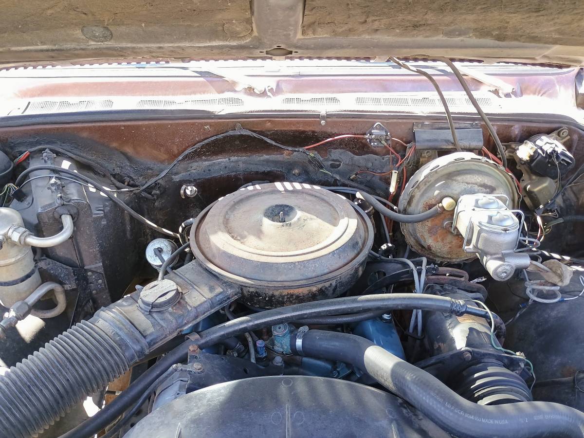C20-1979-brown-5