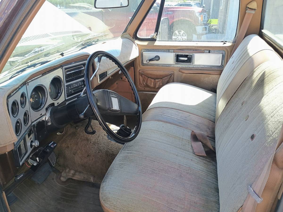 C20-1979-brown-8