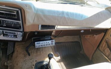 C20-1979-brown-9