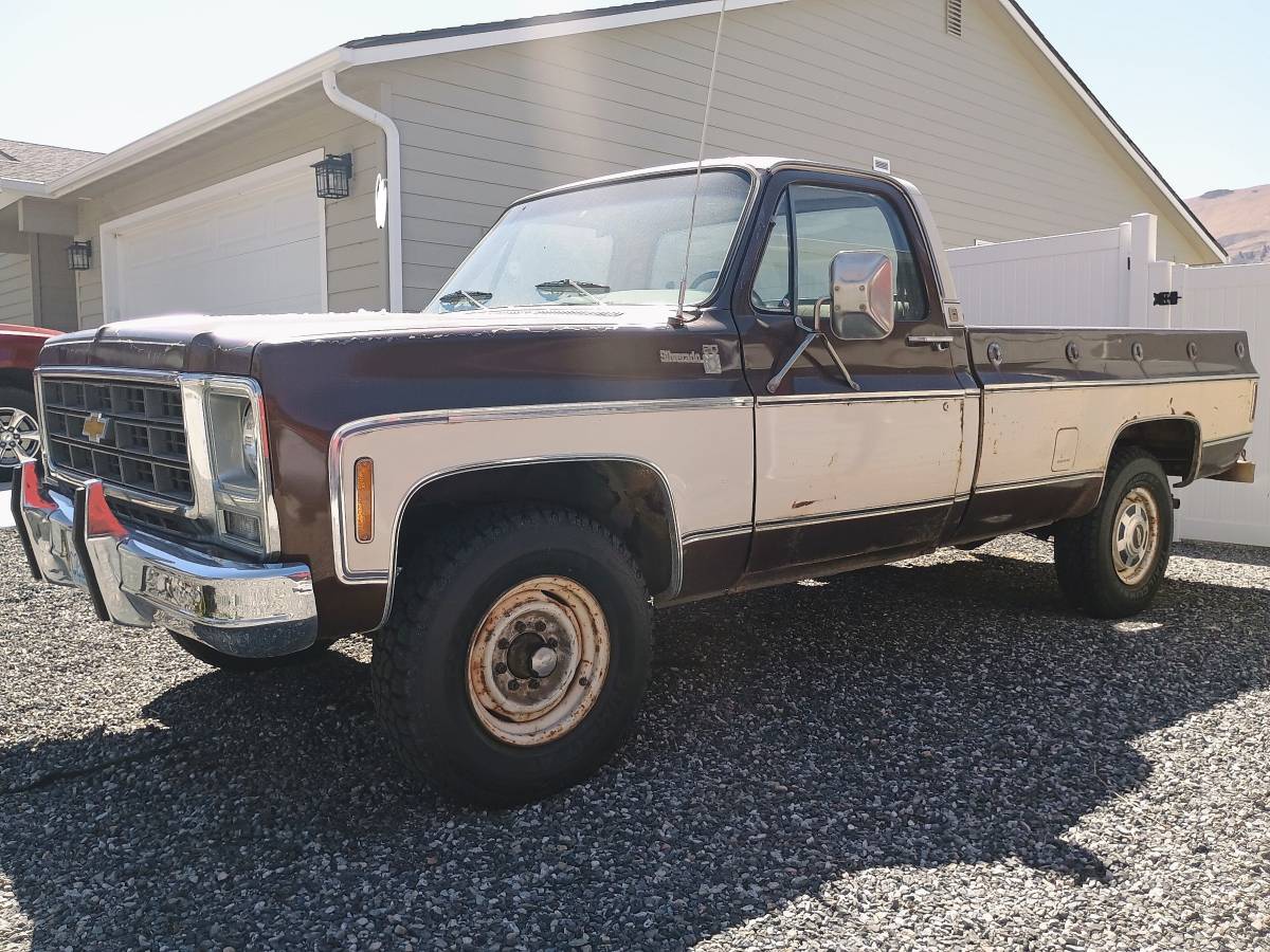 C20-1979-brown