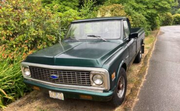 C20-pickup-1971-green