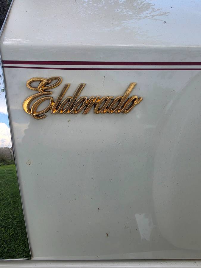 Caddilac-eldorado-birratz-1984-white-11