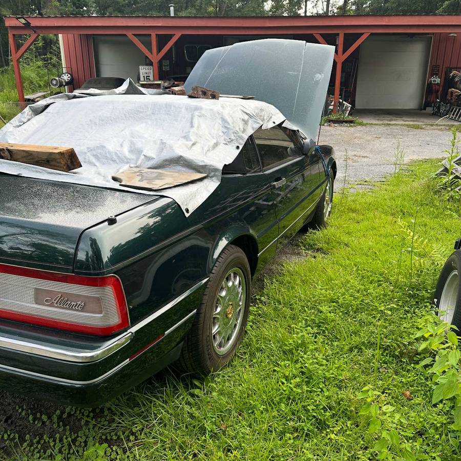 Cadi-1993-2