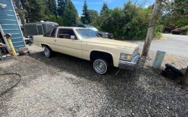 Cadillac-1979-18