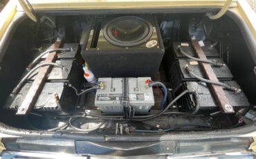 Cadillac-1979-4