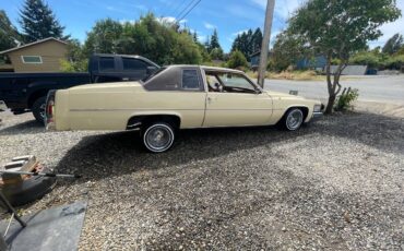 Cadillac-1979-6