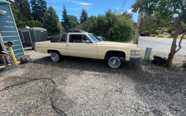 Cadillac-1979-7