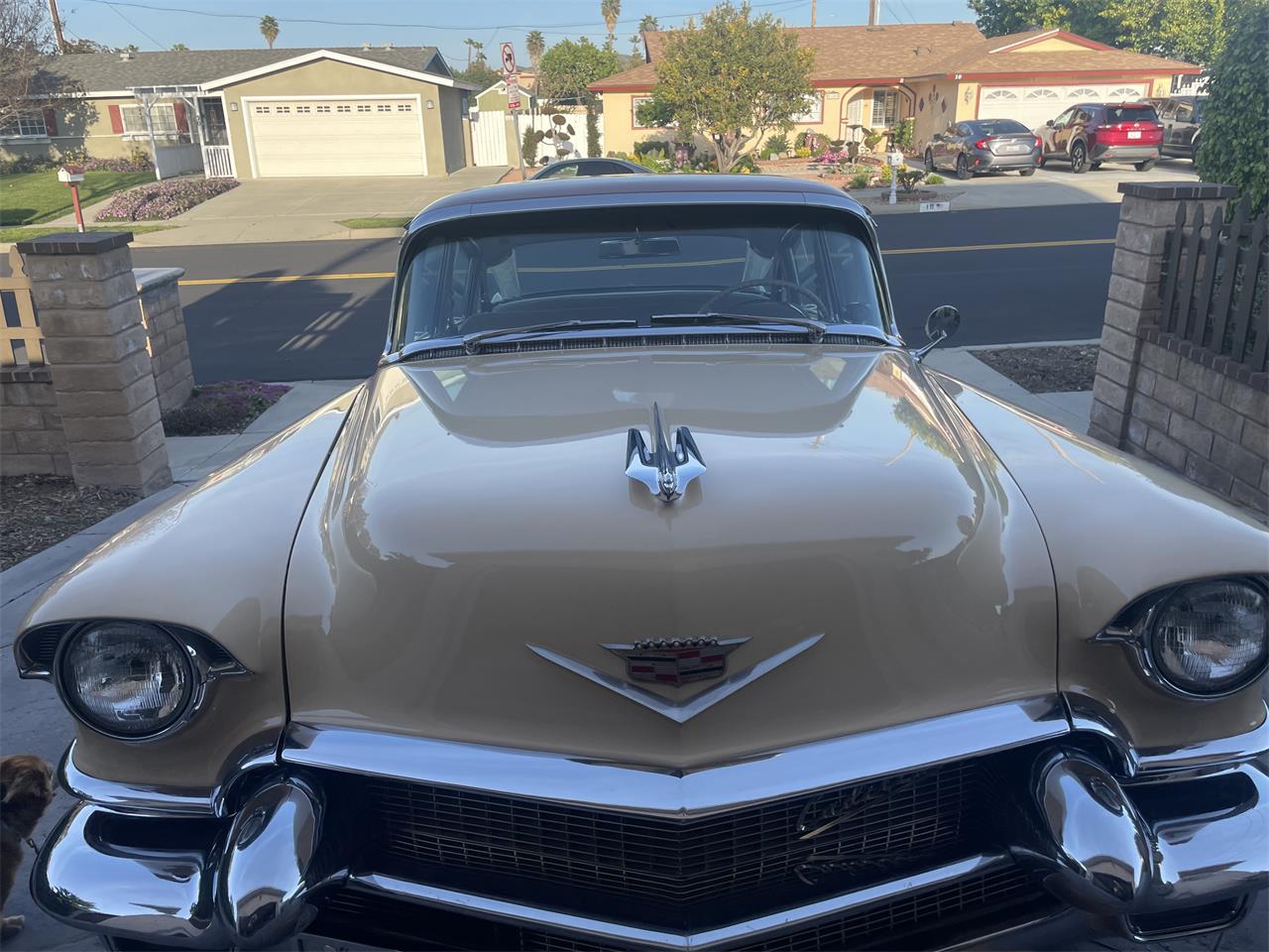 Cadillac-60-special-1956-beige-beige-3